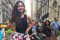 Fearless Girl - Statue in New York City